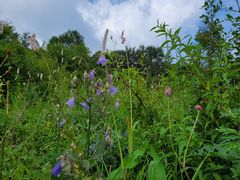 -白草畔自然风景区