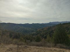 -磬锤峰森林公园