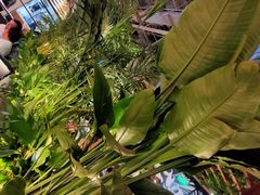 -管氏翅吧(台湾街店)