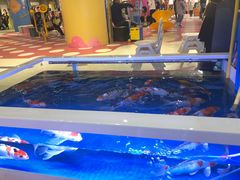 -天虹购物中心(石路店)