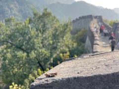 -慕田峪长城