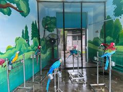 -西安秦岭野生动物园