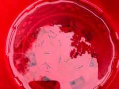 -碓臼峪自然风景区