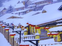 -林海雪乡铁锅炖·东北菜(夏湾店)