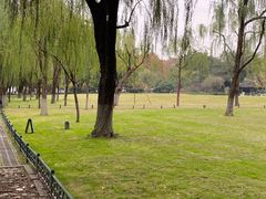 -柳浪闻莺公园