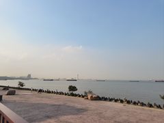 -上海滨江森林公园