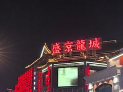 -中街·盛京龙城