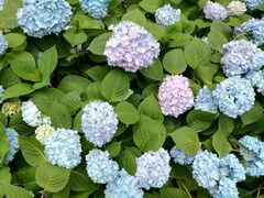 -常州古运河南大街文化旅游区-人民公园