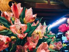-杭州街角花屋花店(闻堰店)