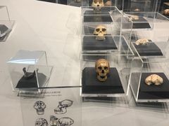 -北京周口店北京人遗址博物馆