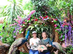 -西双版纳勐泐文化旅游区