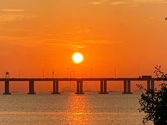 -宝安西湾红树林湿地公园