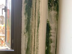 -平湖九龙山庄园圣马可酒店