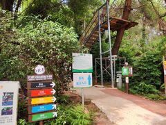 -芦仙山景区-飞越丛林探险乐园