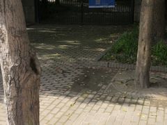 -世纪公园-1号门停车场