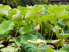 -千龙湖生态旅游度假区