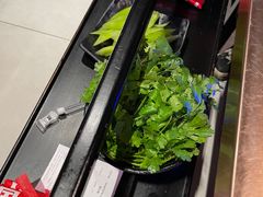 -辣伍鲜毛肚老火锅(元一店)