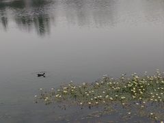 -上海植物园-4号门售票处