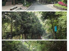 -广州市白云山风景名胜区