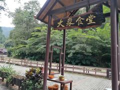 -野象谷景区