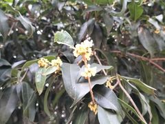 -方山风景区定林寺