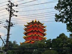 -黄鹤楼公园(黄鹤楼)