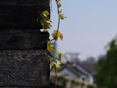 -盘门景区