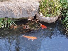 -前童古镇