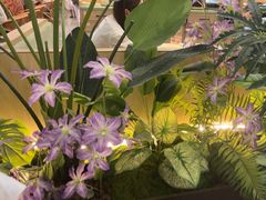 -Aqua Oasis 水天堂(常熟永旺店)