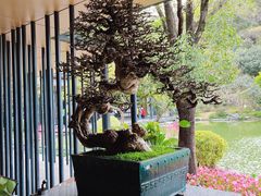 -云溪植物园