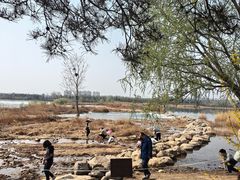 -绿堤公园
