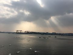 -烟墩角天鹅湖