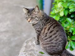 -晓港公园