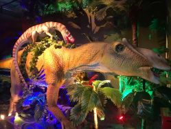 点击看大图 -恐龙探索乐园(磁器口店)