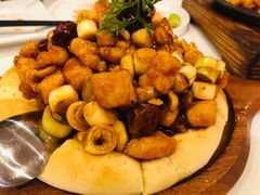 披萨宫保鸡丁-大鸭梨烤鸭(石佛营店)