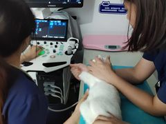 -拜鲁耶动物诊疗中心·宠家动物医院