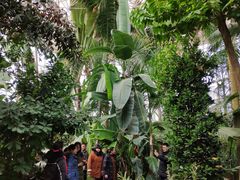 -石家庄市植物园