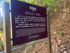 -大连天门山国家森林公园