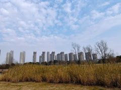 -长广溪湿地公园