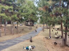 -鄱阳湖国家湿地公园