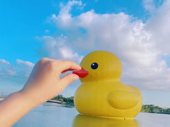 -深圳人才公园