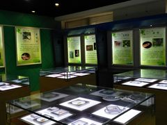 -上海昆虫博物馆