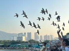 -深圳野生动物园