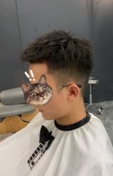 -藤野造型