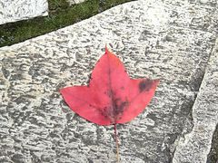 -白塘生态植物园