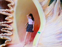 -疯狂屋