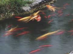 -成飞公园