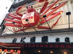 -蟹道乐(道顿堀本店)