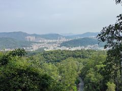 -火炉山森林公园
