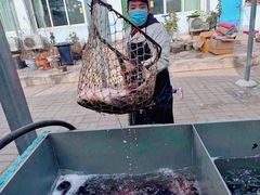 -姥家大锅台水库渔家